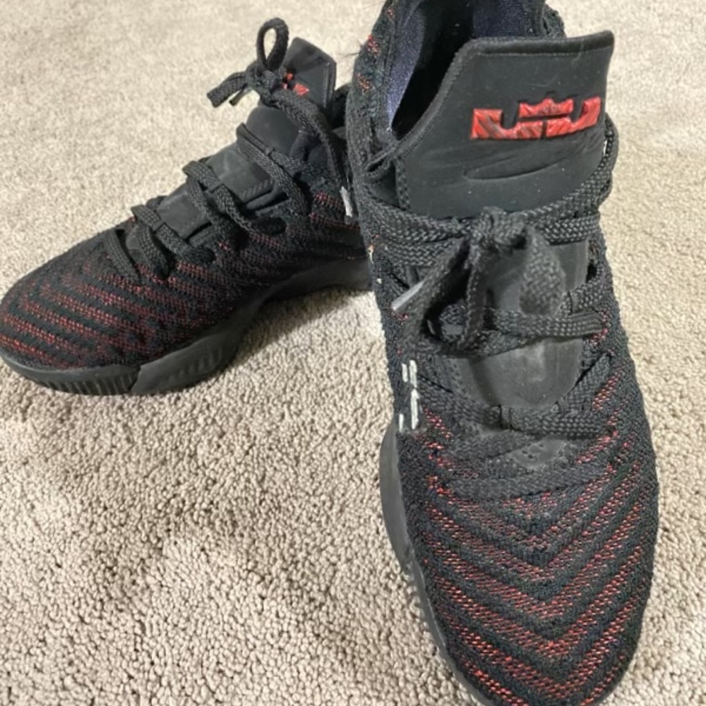 Lebron nike sneakers